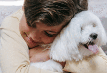 Wie Therapie mit Therapiebegleithund für Kinder mit besonderen Bedürfnissen wirkt