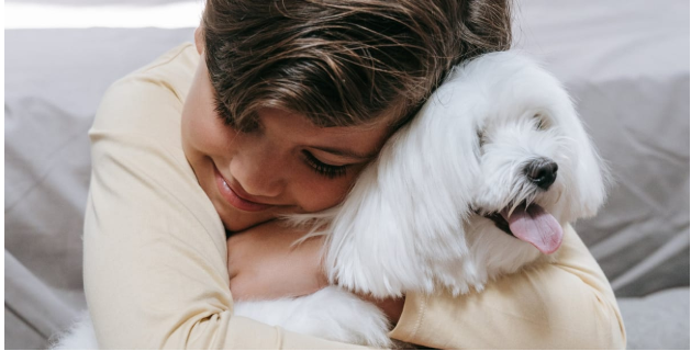 Wie Therapie mit Therapiebegleithund für Kinder mit besonderen Bedürfnissen wirkt